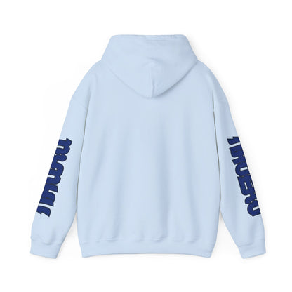 Nauru Flag  Flag Unisex Hooded Sweatshirt - Oceania