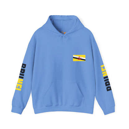 Brunei Unisex Hooded Sweatshirt - Asia