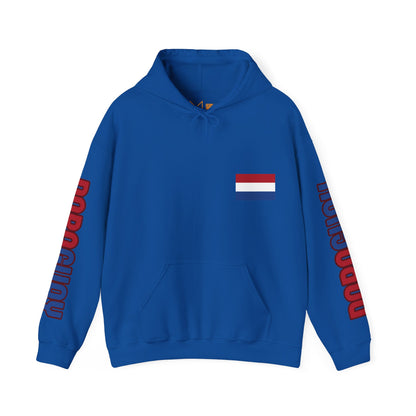 Paraguay Unisex Hooded Sweatshirt - South America