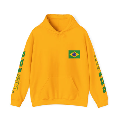 Brasil Unisex Hooded Sweatshirt - South America