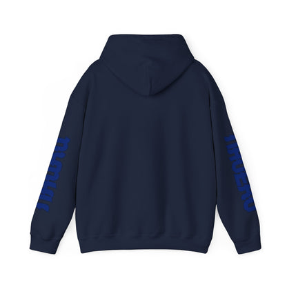 Nauru Flag  Flag Unisex Hooded Sweatshirt - Oceania