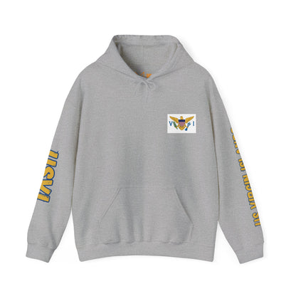 US Virgin Islands Flag Unisex Hoodie - Caribbean - Island Territory