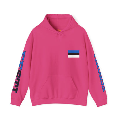 Estonia Unisex Hooded Sweatshirt - Northern Europe