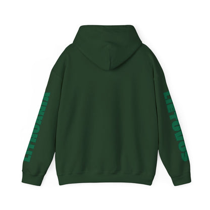 Lietuva Unisex Hooded Sweatshirt - Northern Europe