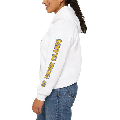 US Virgin Islands Flag Unisex Hoodie - Caribbean - Island Territory