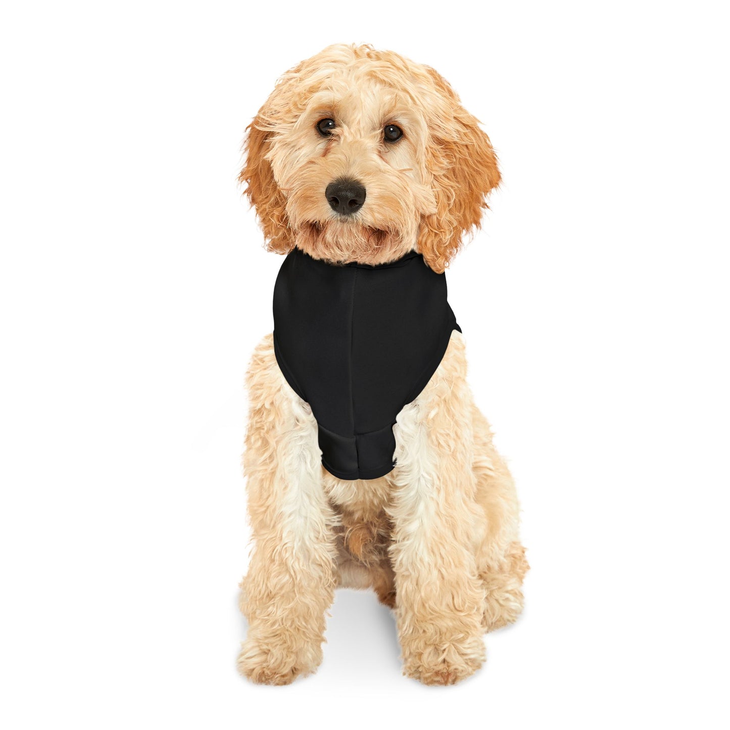 Black Dog and Cat - Pet Hoodie - Brazilian Root