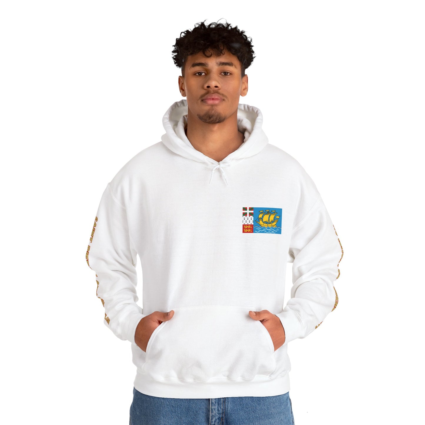 Saint Pierre and Miquelon Flag Unisex Hoodie - Caribbean - Island Territory