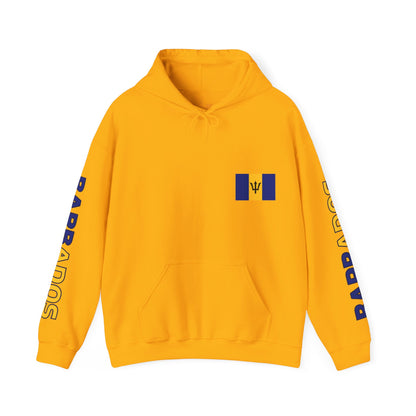 Barbados Unisex Hooded Sweatshirt - Caribbean