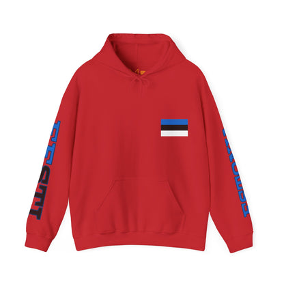 Estonia Unisex Hooded Sweatshirt - Northern Europe