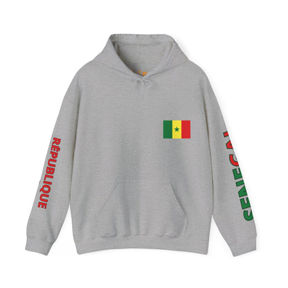 Senegal Unisex Hooded Sweatshirt - Africa