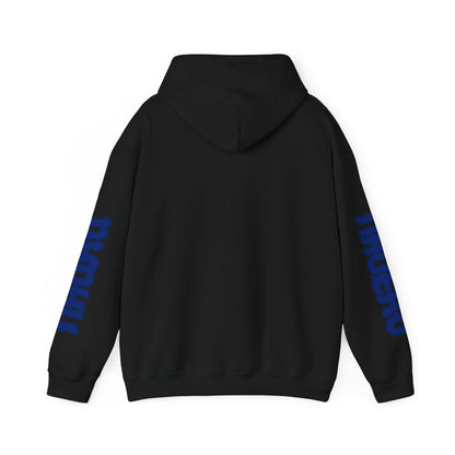 Nauru Flag  Flag Unisex Hooded Sweatshirt - Oceania