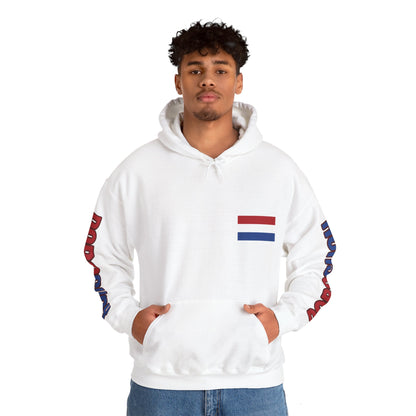 Paraguay Unisex Hooded Sweatshirt - South America