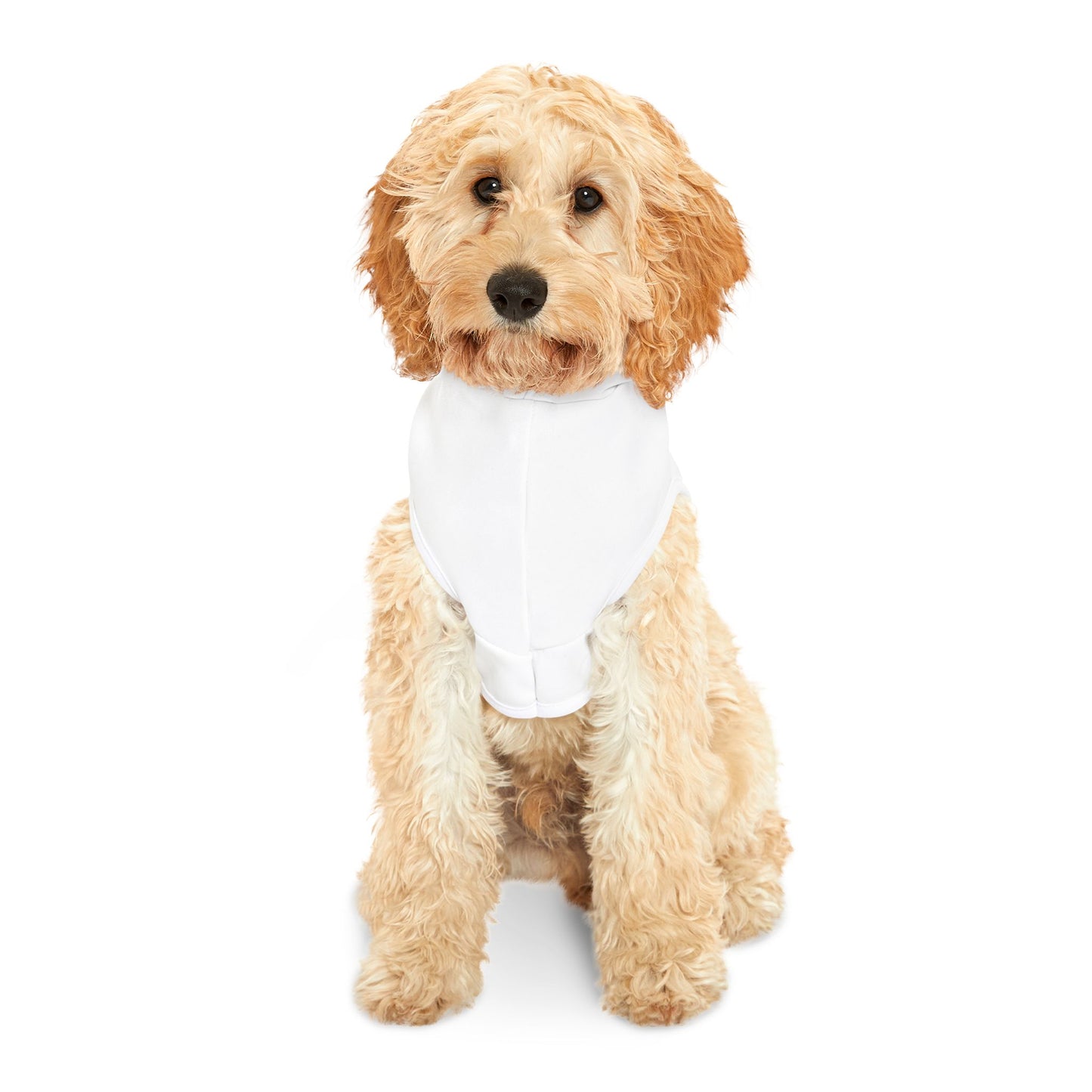 White - Dog and Cat - Pet Hoodie - Brazilian Roots