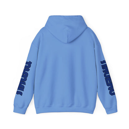 Nauru Flag  Flag Unisex Hooded Sweatshirt - Oceania