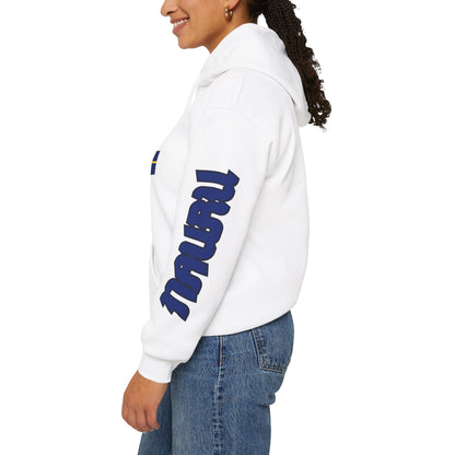 Nauru Flag  Flag Unisex Hooded Sweatshirt - Oceania