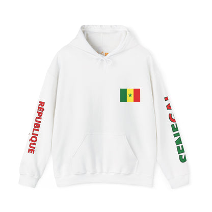 Senegal Unisex Hooded Sweatshirt - Africa