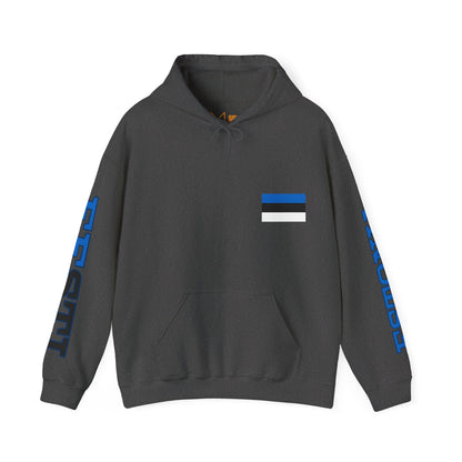 Estonia Unisex Hooded Sweatshirt - Northern Europe