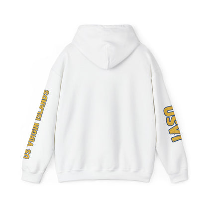 US Virgin Islands Flag Unisex Hoodie - Caribbean - Island Territory