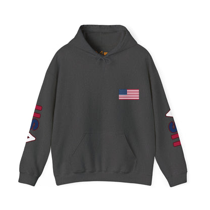 The United States of America Unisex Hooded Sweatshirt - North America