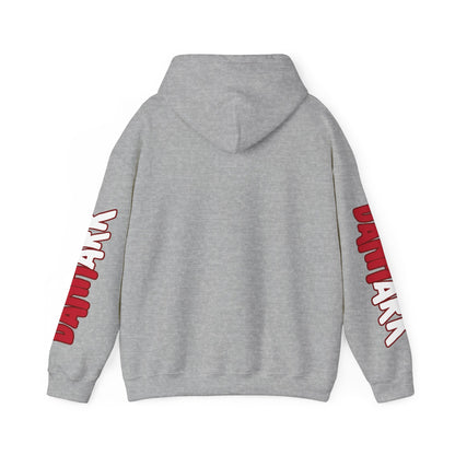 Denmark Unisex Hooded Sweatshirt - Northern Europe