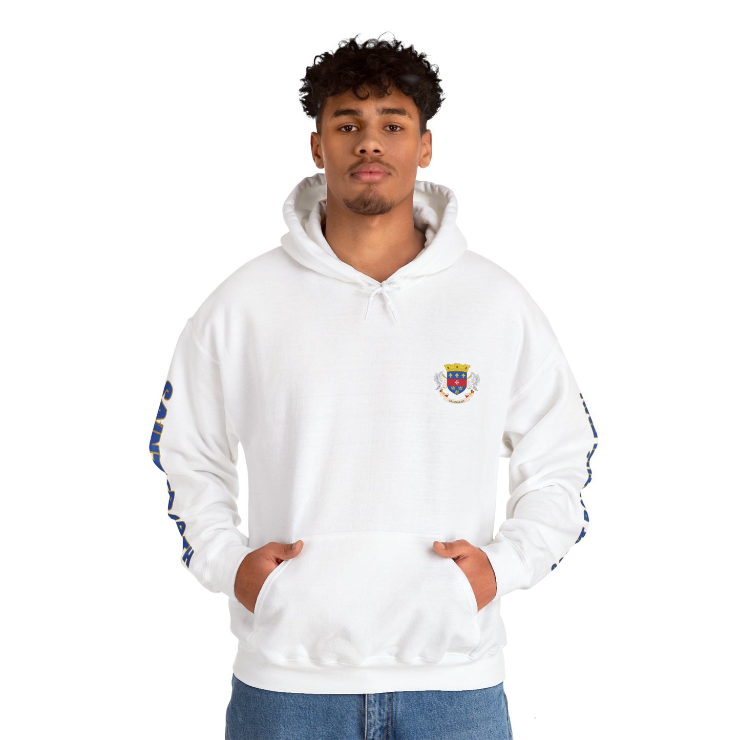 Saint_Barthelemy Flag Unisex Hoodie - Caribbean - Island Territory