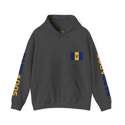 Barbados Unisex Hooded Sweatshirt - Caribbean