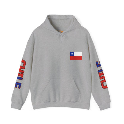 Chile Unisex Hooded Sweatshirt - South America