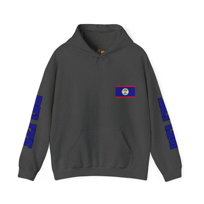 Belize Unisex Hooded Sweatshirt - North America