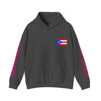 Puerto Rico Flag Unisex Hoodie - Caribbean - Island Territory