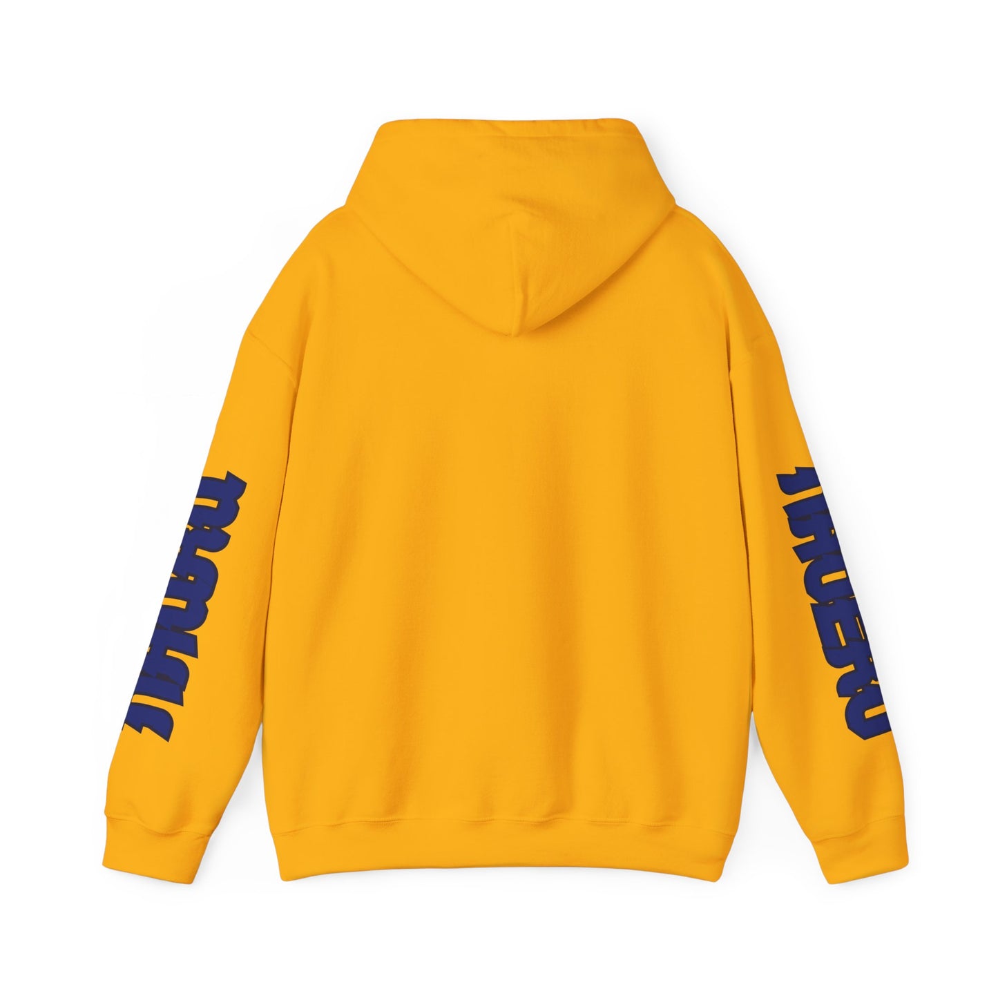 Nauru Flag  Flag Unisex Hooded Sweatshirt - Oceania