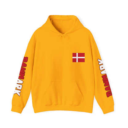 Denmark Unisex Hooded Sweatshirt - Northern Europe