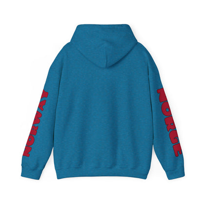 Norway Unisex Hooded Sweatshirt - Northern Europe