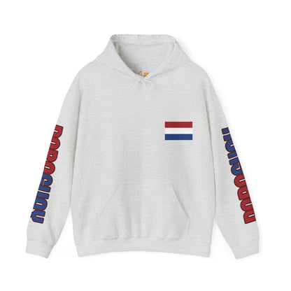 Paraguay Unisex Hooded Sweatshirt - South America