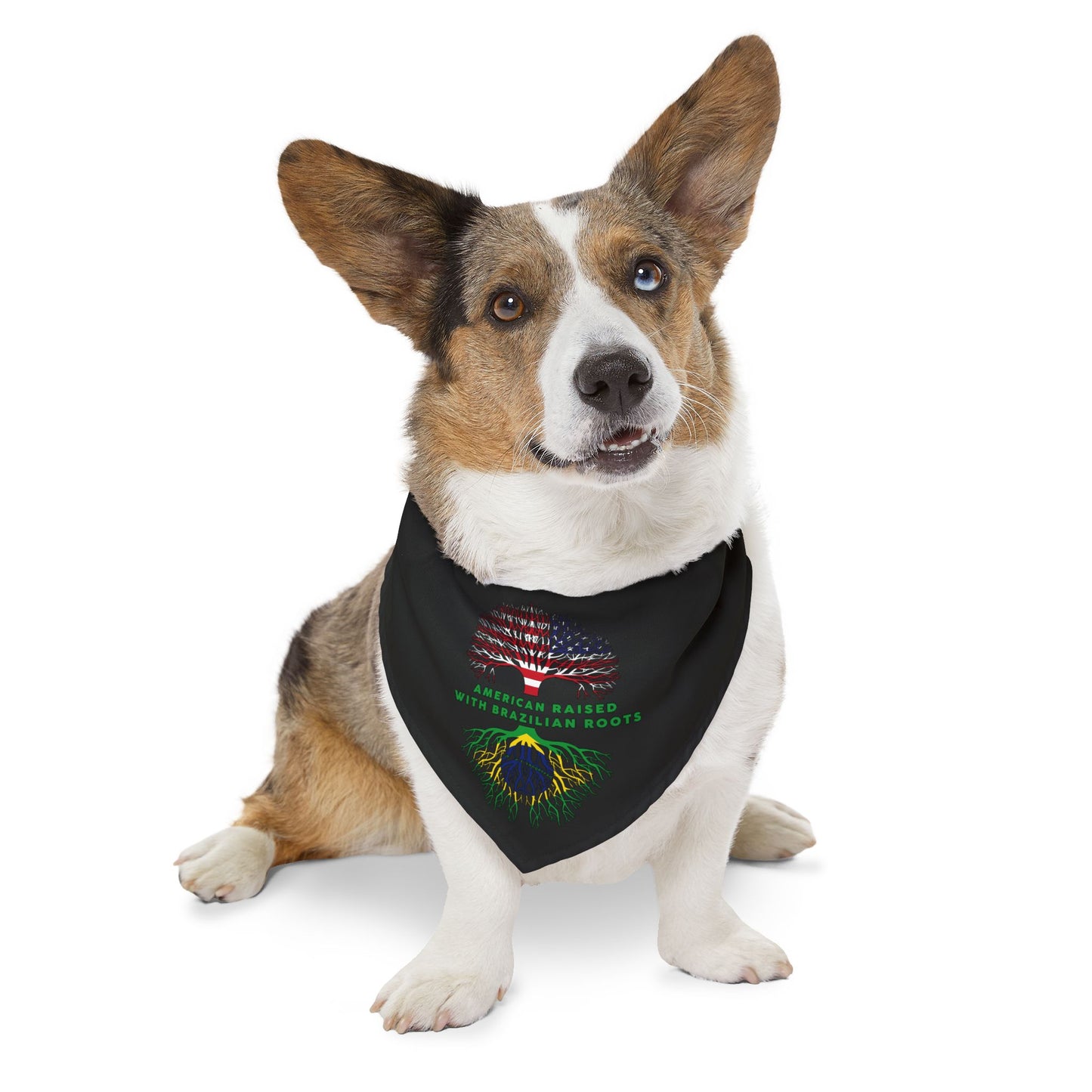 Black - Pet Bandana Collar - Brazilian Roots