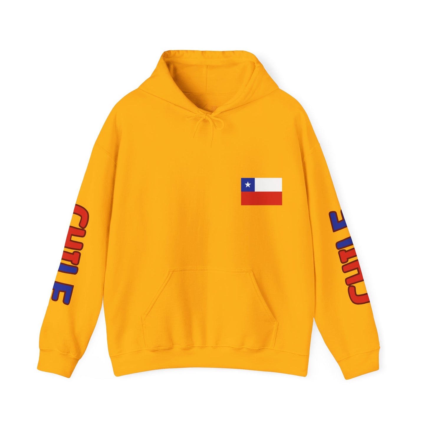 Chile Unisex Hooded Sweatshirt - South America