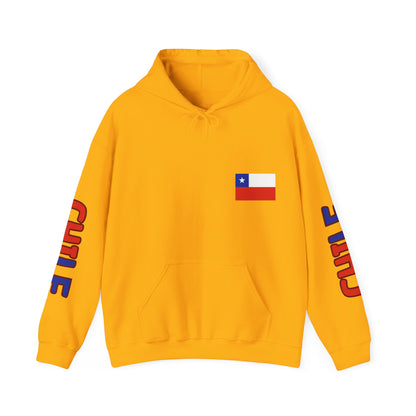 Chile Unisex Hooded Sweatshirt - South America